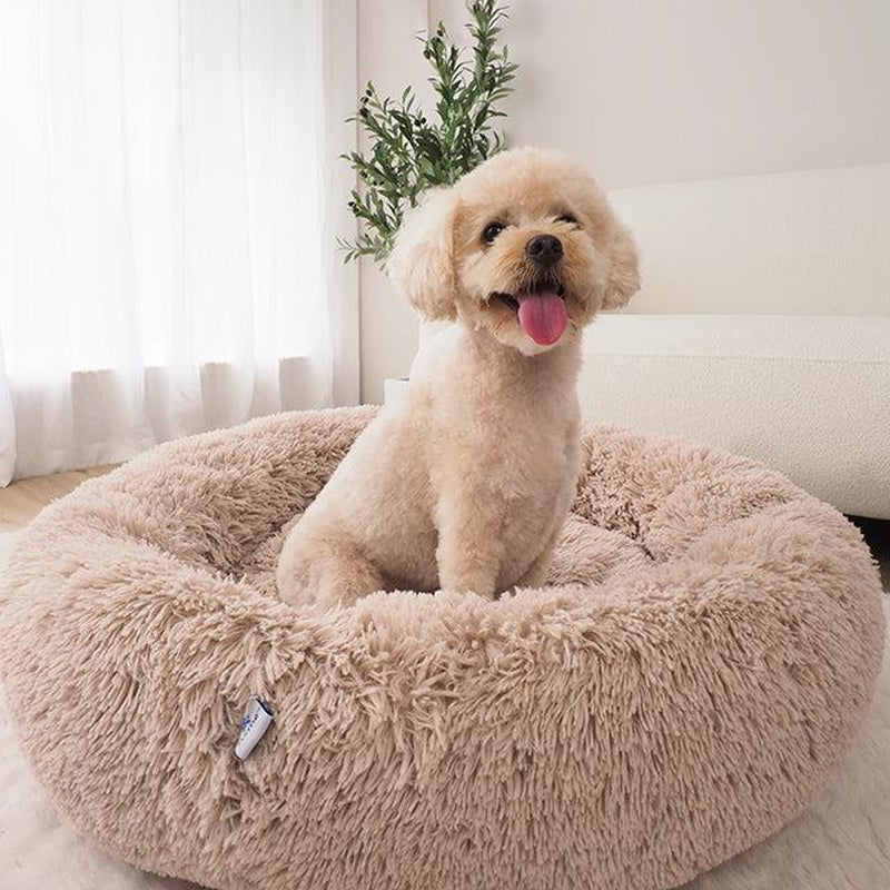 Oatmeal Calming Donut Pet Bed