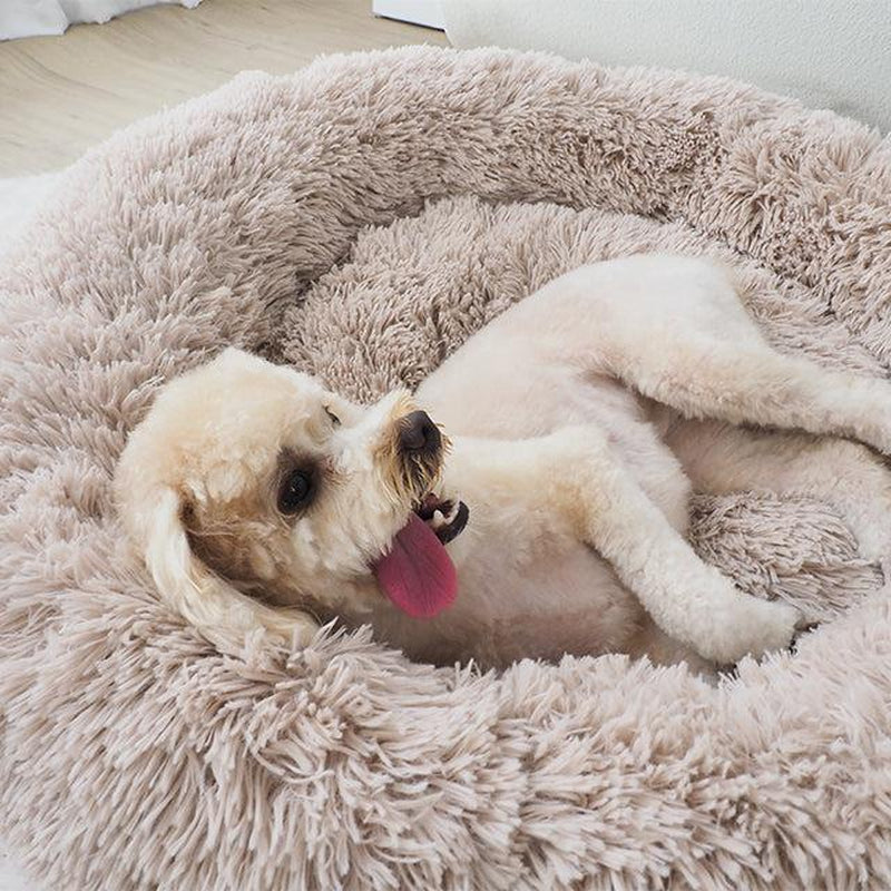 Oatmeal Calming Donut Pet Bed