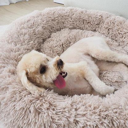 Oatmeal Calming Donut Pet Bed